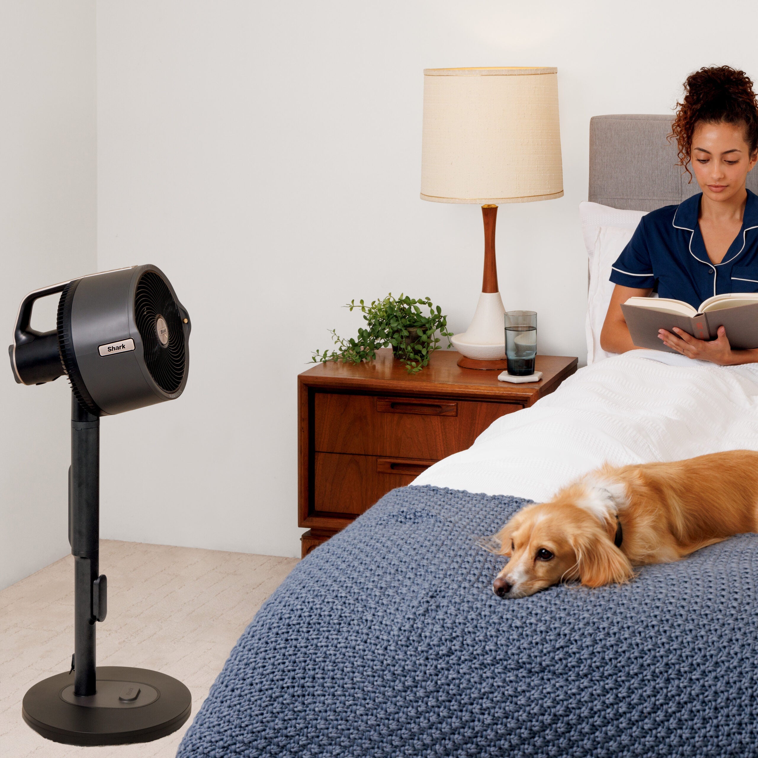 Shark FlexBreeze™ ProMist FA300EU Vezeték nélküli ventilátor vízpermet funkcióval