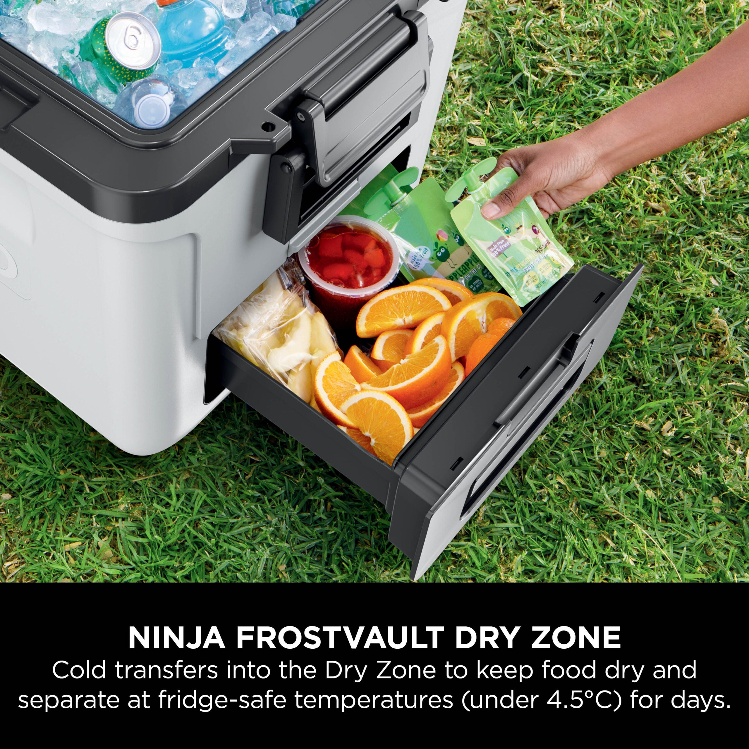 Ninja FB230EUWH Frost Vault kerekes hűtőláda – 28L – Fehér